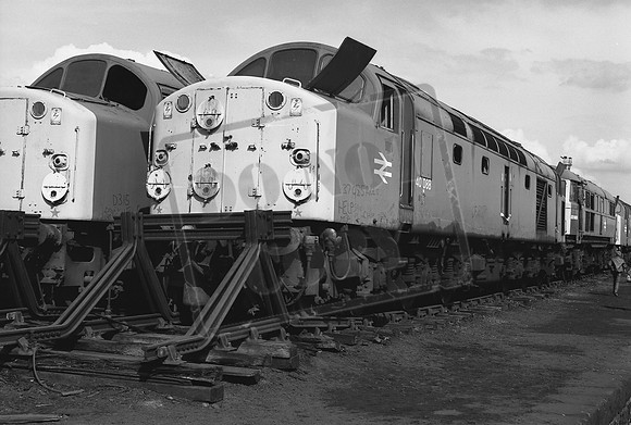 TTP40088 CREWE WORKS 2-6-1984 CJM