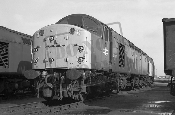 TTP40092 THORNABY 18-10-81 COLIN MARSDEN