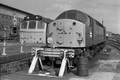 CLASS 40 MONO