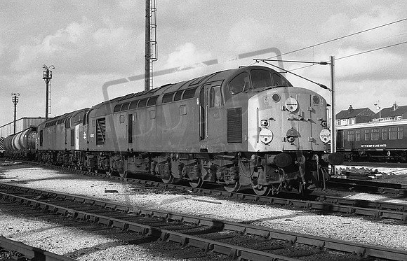 TTP40107 SPRINGS BRANCH 13-3-82 CJM
