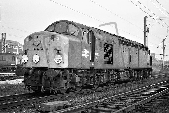 TTP40110 SPRINGS BRANCH 30-1-1981