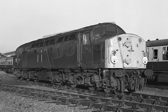 TTP40113