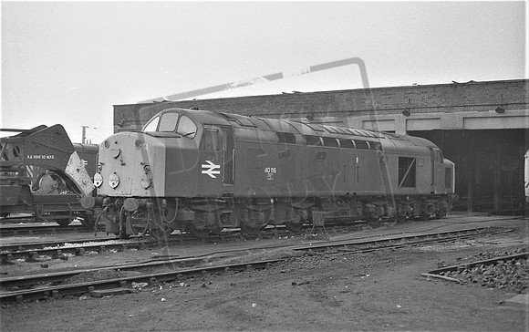 TTP40116 SPRINGS BRANCH 30-1-81 CJM