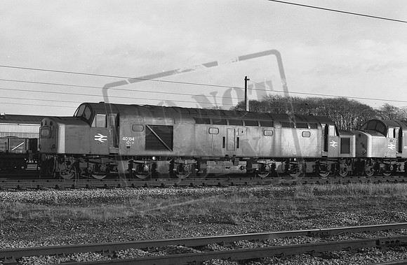 TTP40154 CARLISLE NEW YD 28-11-81 CJM