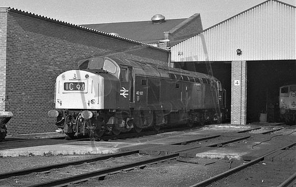 TTP40167 Haymarket