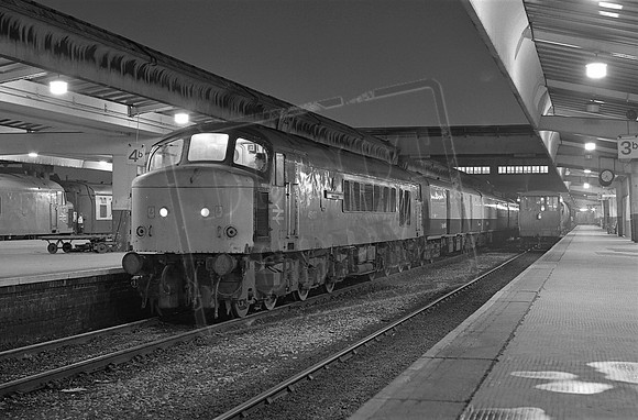 TTP45137