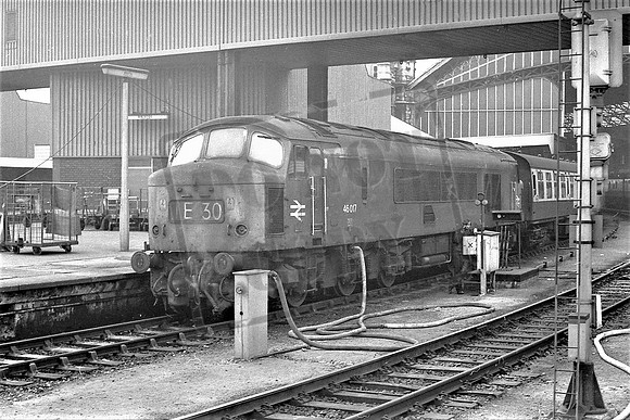 TTP46017 BRISTOL TM