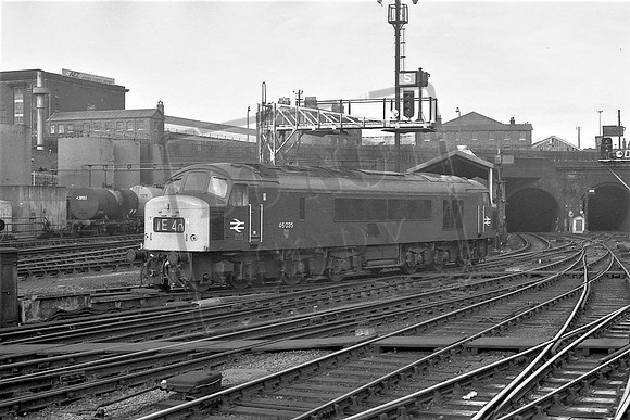 TTP46035 KINGS CROSS