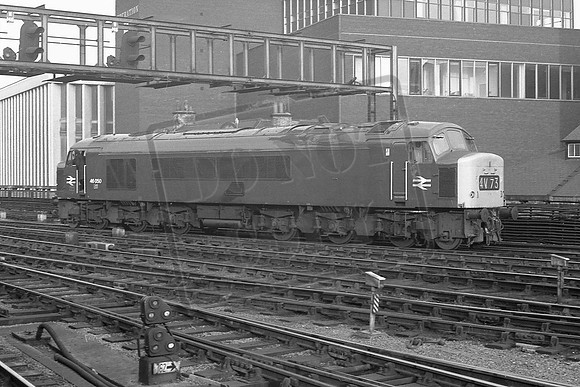 TTP46050