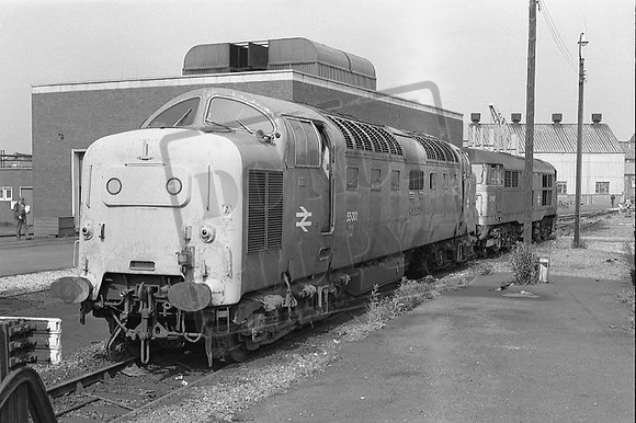 TTP55001