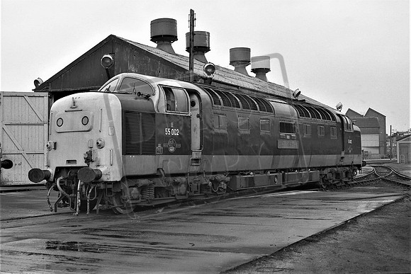 TTP55002