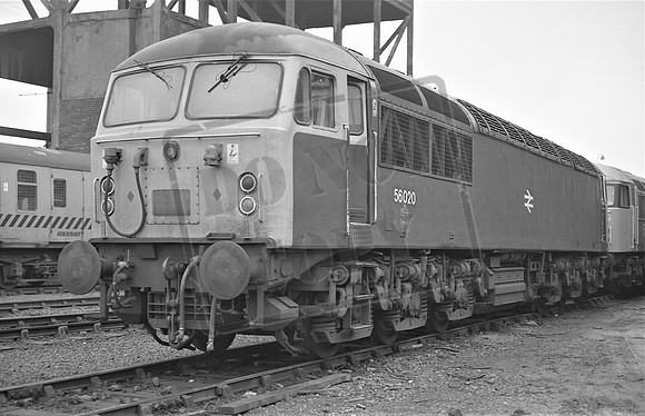 TTP56020