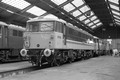 CLASS 81-91 AC ELECTRICS MONO