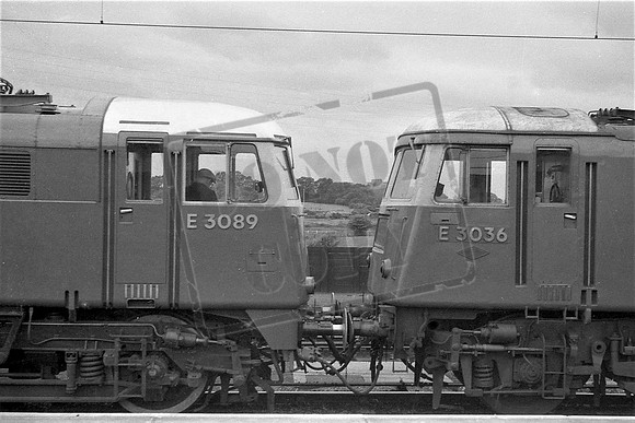 TTPE3036 3E3089 STAFFORD