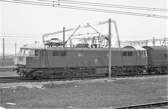 TTPE3177 WILLESDEN