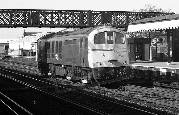 TTPE71013 PADDOCK WOOD