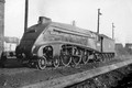 STEAM BRITISH RAILWAYS MONO