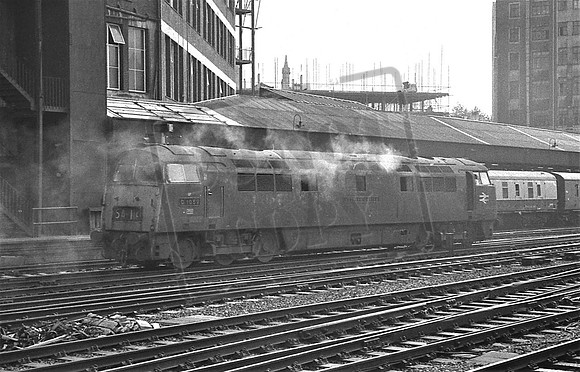 TTP1059 PADINGTON
