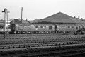 10201 & 10203 (Cat No TTP10201) Derby 1960s