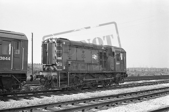 3842 (Cat No TTP3842) Shed yard at Newton Heath 28-08-1972