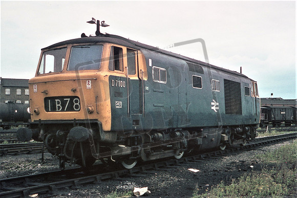 7100DT OLD OAK COMMON 18-7-1971 DAVID TITHERIDGE