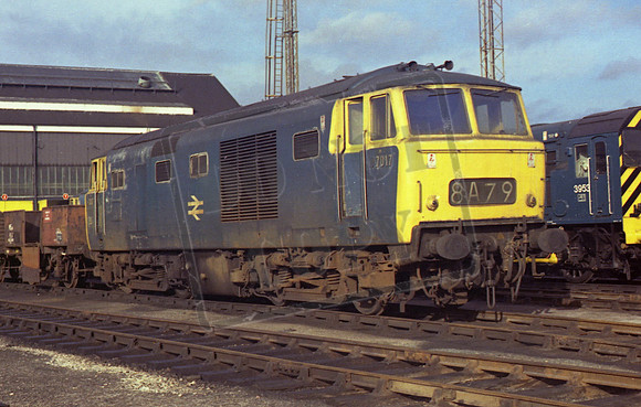 7017 MH OLD OAK COMMON