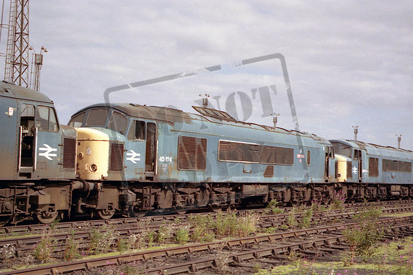 45134 MH  TINSLEY 1990