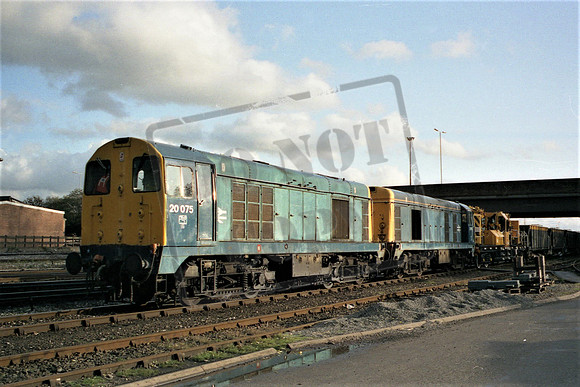 20075MH TOTON 3-11-91 MARTIN HIGH