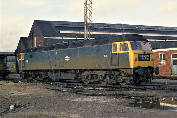 1591 MH OLD OAK COMMON