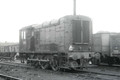 15103TTP OLD OAK COMMON 1958