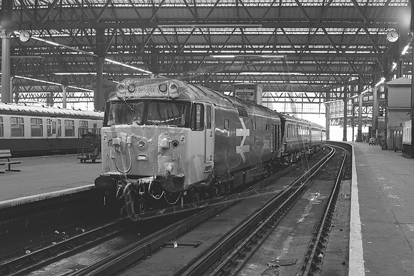 TTP50033B