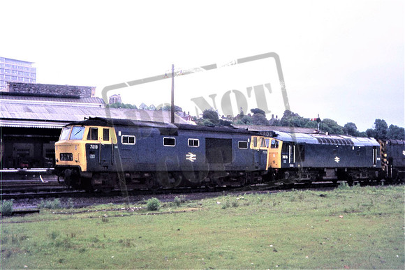 7019 & 7675