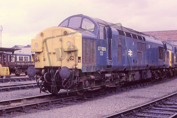37029 1983