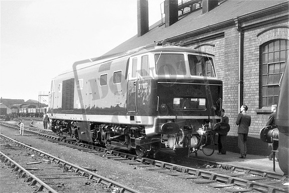 7003 TTP D7003 WINDON