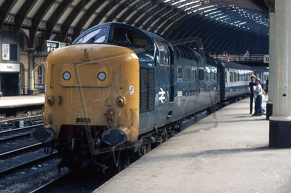 55009 ALYCIDON (Cat No KM55009) York
