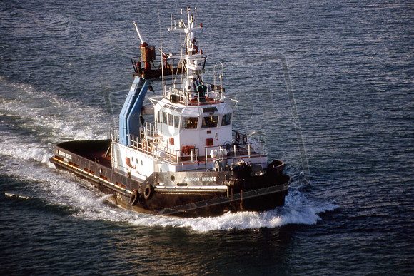 EDWARDO MORACE ITALIAN TUG