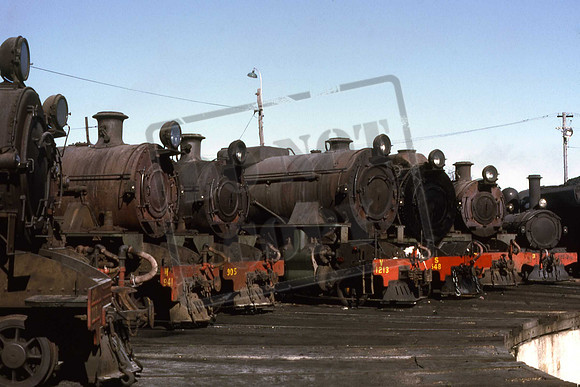 AUSTRALIA COLLIE ROUNDHOUSE WAGR 1969