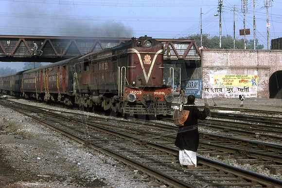 INDIA 16029 SAHARANPUR