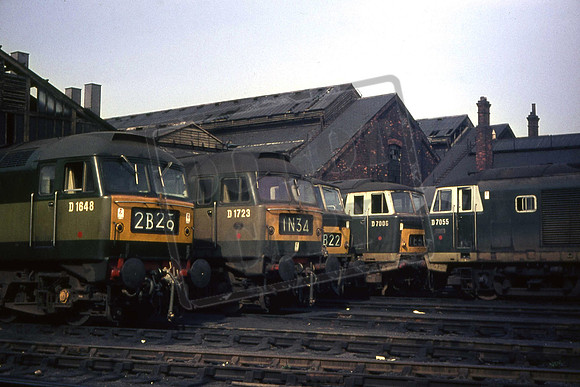 1648 D1723 D70xx D7006 D7055 (Cat No UN1648) Swindon Shed