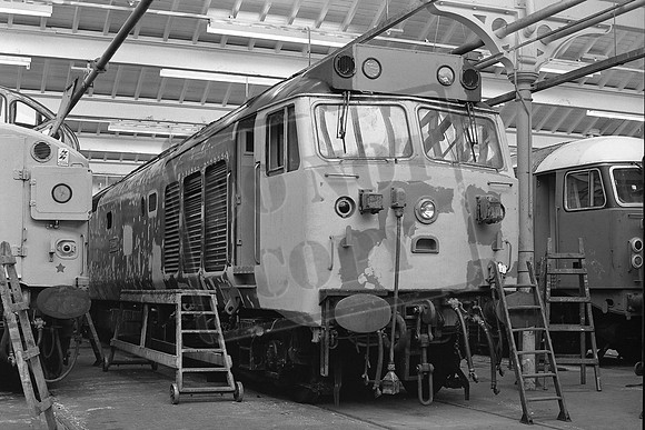 TTP50012