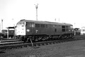 5502 TTP