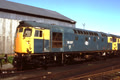 CLASS 26 COLOUR