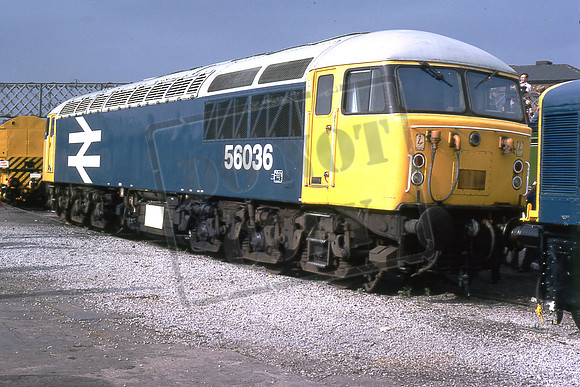 TTR10003 56036 (Cat No TTR10003) Derby Works 01-09-79 David Canning