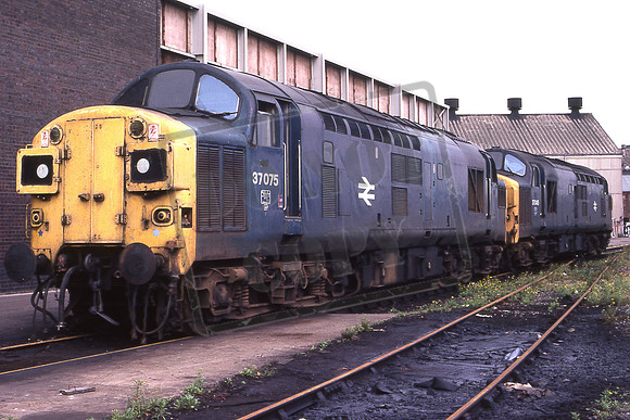 TTR10015 37075 & 37045 (Cat No TTR10015) Doncaster Works 10-08-80 David Canning