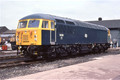 TTR10016 56081 (Cat No TTR10016) Doncaster Works 10-08-80 David Canning)