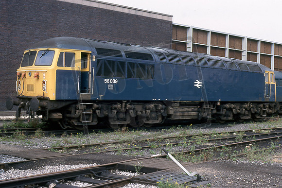 TTR10036 56039 (Cat No TTR10036) Doncaster Works 19-08-79 David Canning