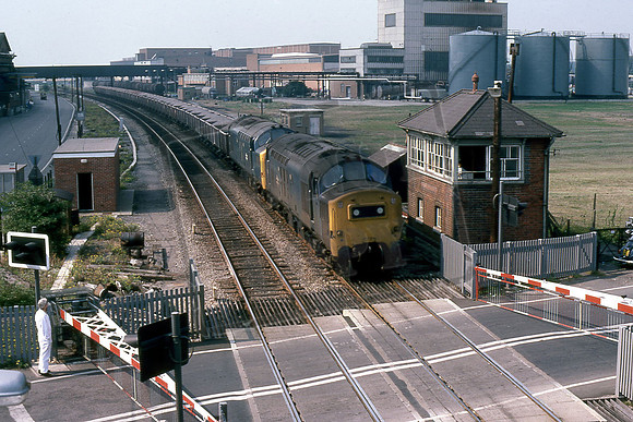 TTR10116 37231 & 37208 (Cat No TTR10116) Colthrop crossing. Stone working. 04-09-78 David Canning