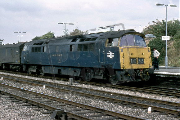 TTR10169 1033 WESTERN TROOPER (Cat No TTR10169) Newbury SEPT 76 David Canning
