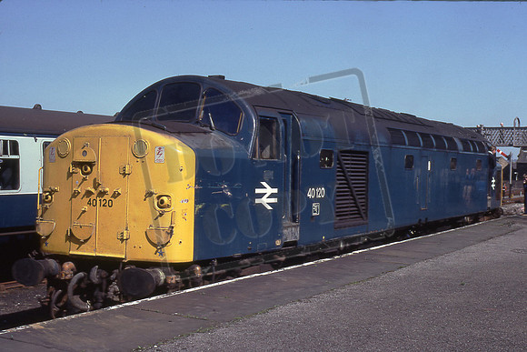 TTR10222 40120 (Cat no TTR10222) David Canning