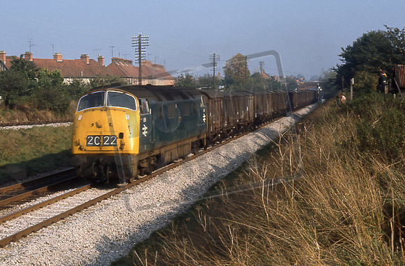 TTR10220 D856 (Cat No TTR10220) TROJAN near Newbury. David Canning